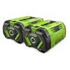 56V 12.0Ah Battery (2 Pack)